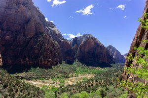 20210428ZionNP_D1030.jpg